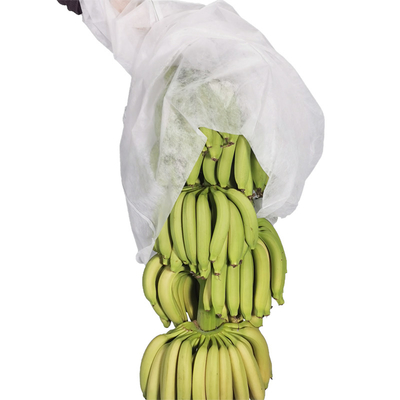 17gram 72cm Bananen-Taschen der 200 Meter-Landwirtschafts-nicht gesponnene Abdeckungs-pp.