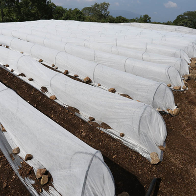 Anti- UV-420cm Breiten-Landwirtschafts-Vliesstoff-Gewebe für Gemüse