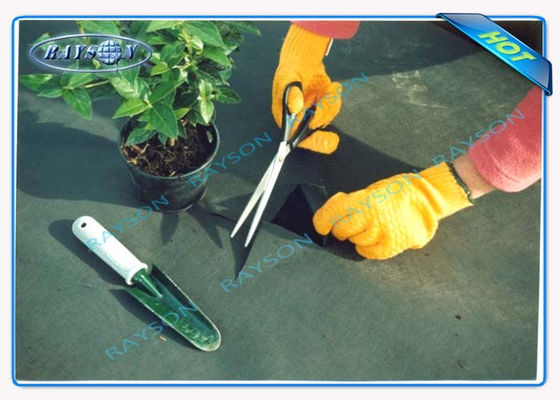 3% UVschutz-10-jährige Garantie-landwirtschaftliche nicht gesponnene Abdeckung Spunbond in der schwarzen Farbe