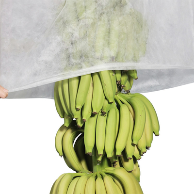 Abdeckungs-nichtgewebte Bananen-UVtaschen der Landwirtschafts-17gram nicht gesponnene, die 100pcs pro Plastiktasche schneiden