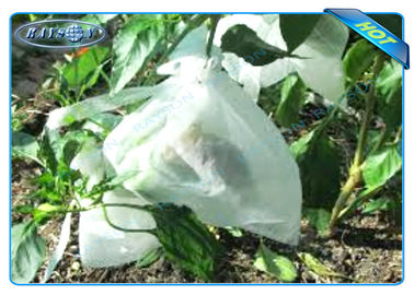 Nichtgewebte Agiculture-Anlage wachsen Taschen für Frucht-Wachstum und Schutz, Kartoffel wachsen Taschen