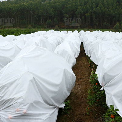 Polypropylen-Landwirtschafts-Gewächshaus-Antiinsekten-Netz-nicht Gewebe 100%